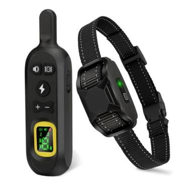 reedog-p19_402_523.jpg